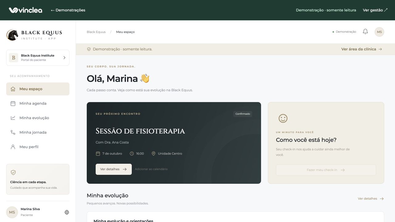Espaço do cliente da Vinclea no ambiente de demonstração